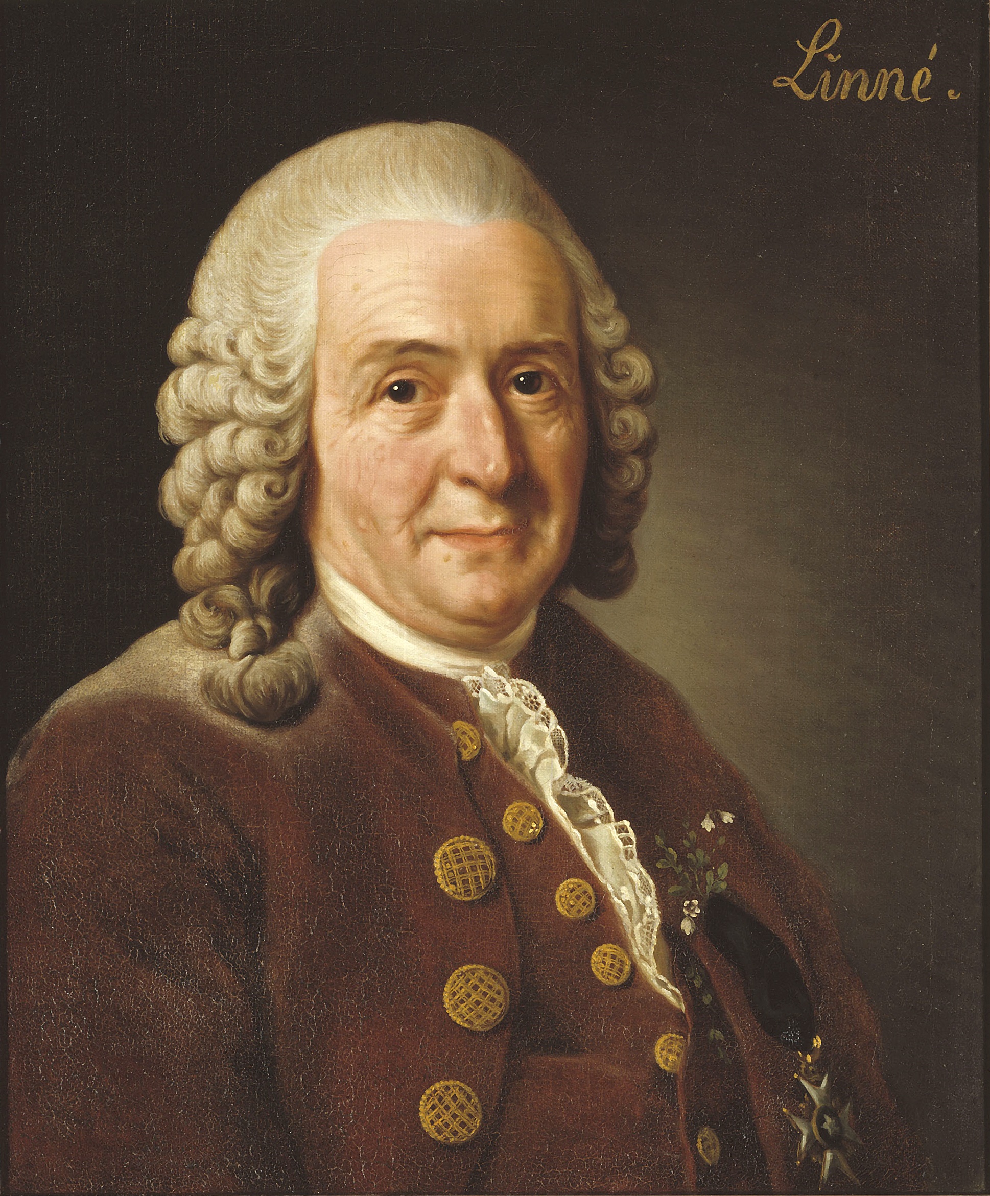 Linnaeus, Carolus